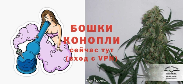 СК Каменногорск