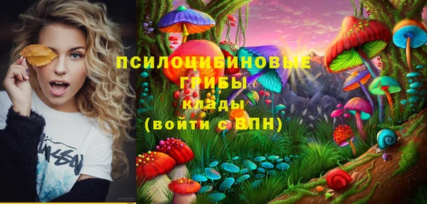 СК Каменногорск