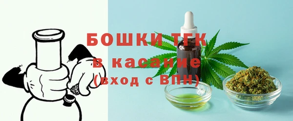 СК Каменногорск
