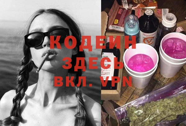 СК Каменногорск